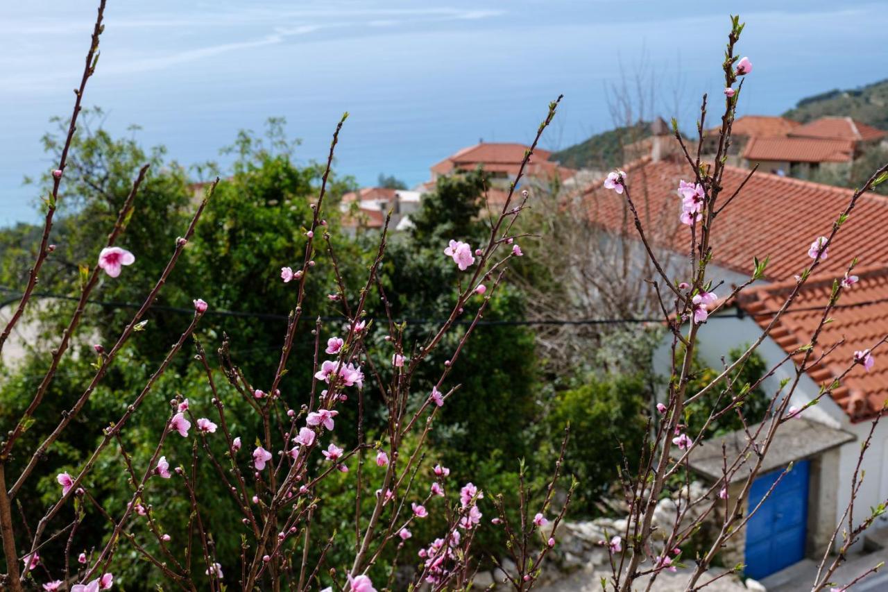 فندق Duka'S House Lukovë المظهر الخارجي الصورة